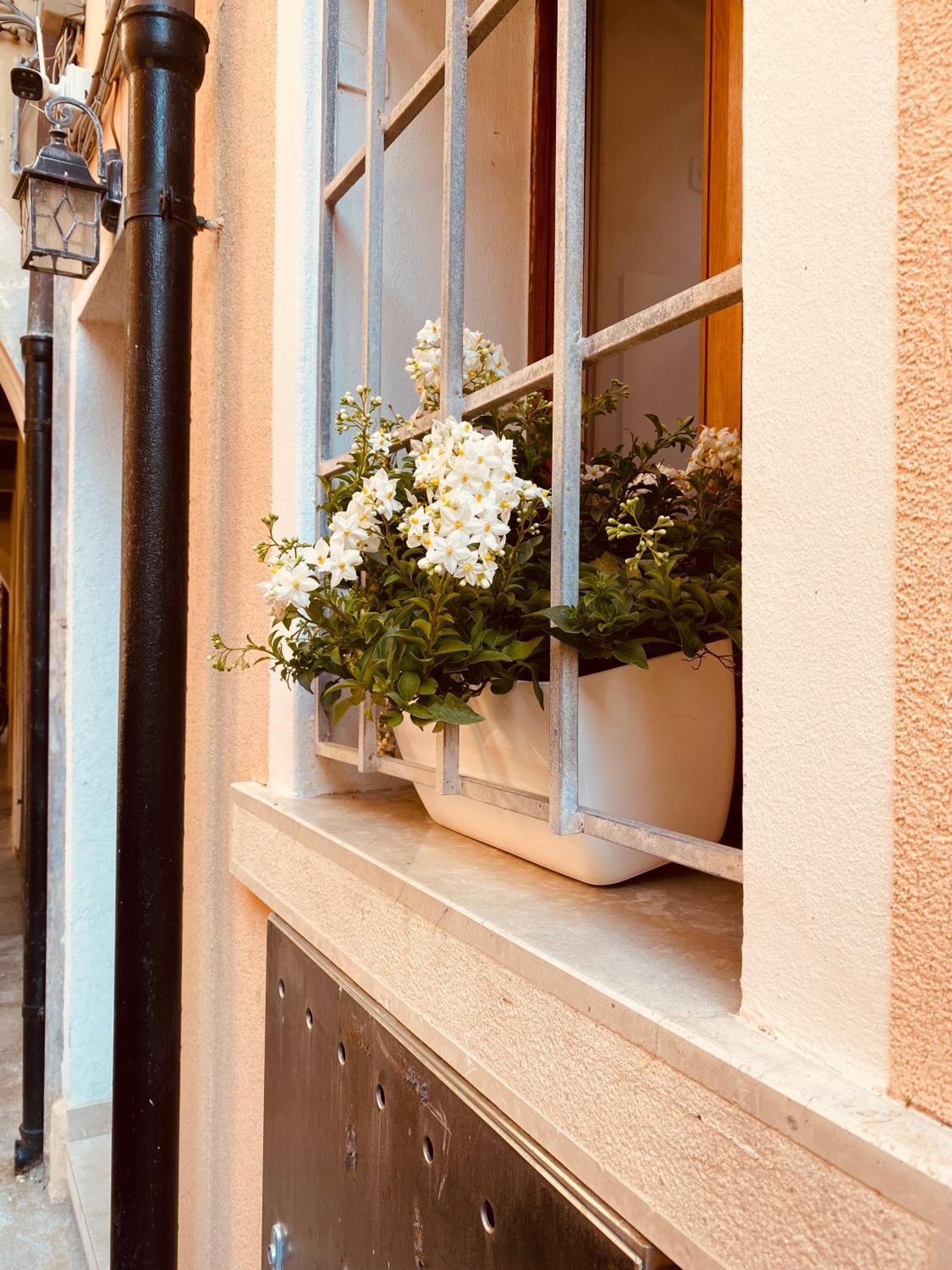 Casabella Chioggia Casa Indipendente Con Corte エクステリア 写真